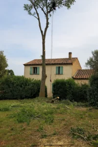 Élagage sécurisé d’un grand arbre dans un jardin à La Ciotat 